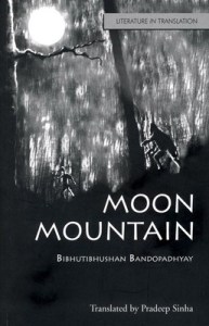 moon-mountain-banerjee